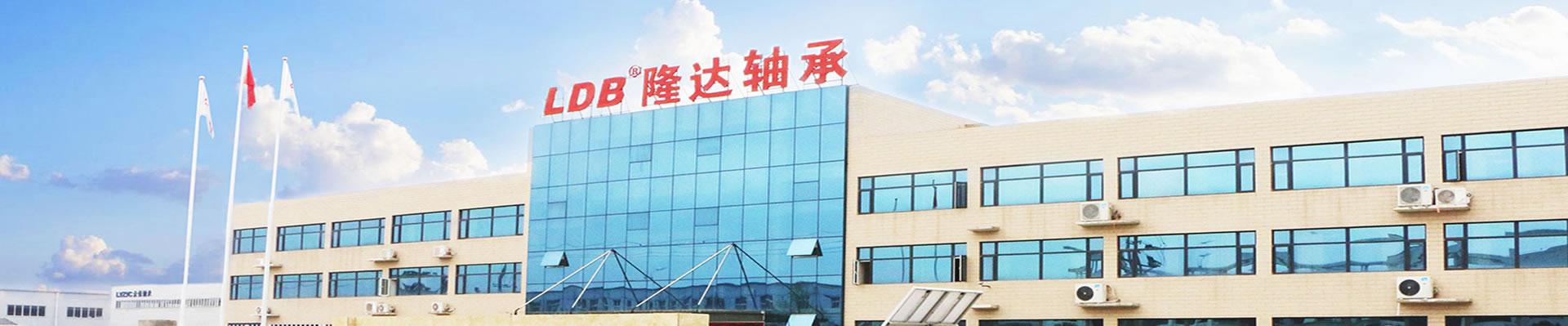 洛陽隆達軸承有限公司